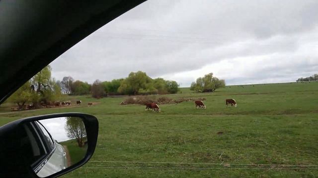 Наш ХУТОР. Дер Барановка. #дикфарм #dikfarm смотреть онлайн
