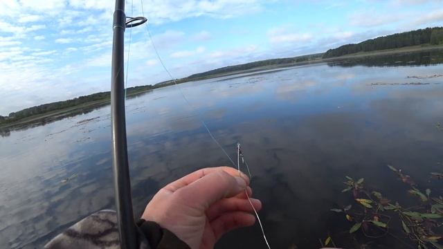 Где искать щуку на пруду .Лучшие воблеры на щуку в моей коллекции. Рыбалка Пермский Край. Ловля щук смотреть онлайн