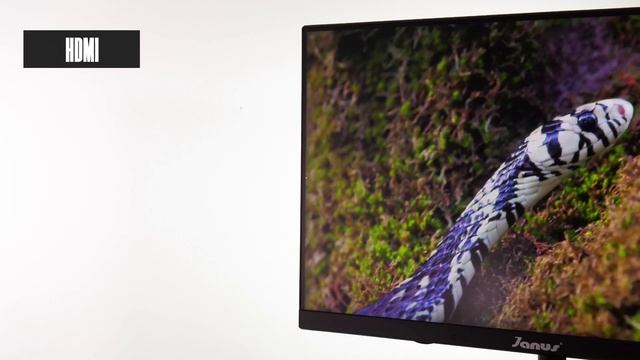 MONITOR IPS 24" Janus смотреть онлайн