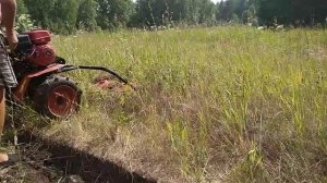 Мотоблок Ока и роторная косилка на сенокосе.