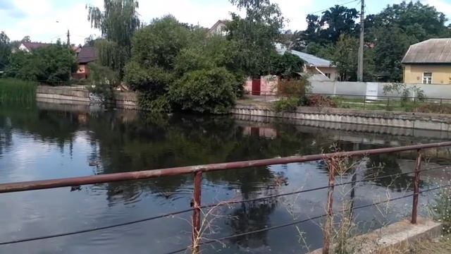 Киев. Малое озеро "Кинь Ґрусть". смотреть онлайн