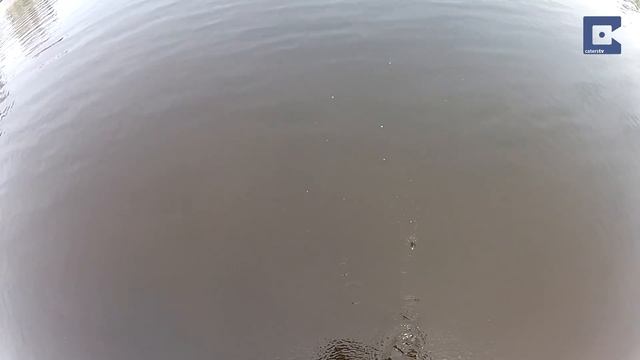 Man Makes $15 Million During Career as Golf Ball Diver смотреть онлайн