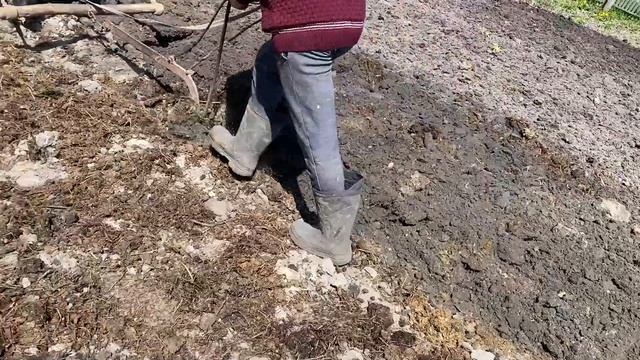 Посадка картофеля "под коня" смотреть онлайн