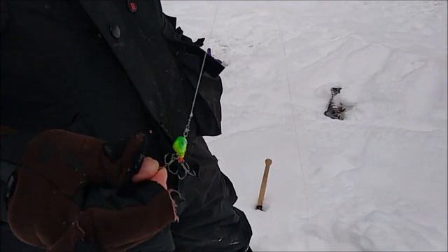 Утренние поимки на Нижнем. Ловля на пассивные снасти. Клёвое место,. лосиный остров смотреть онлайн