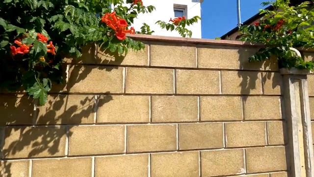 Спб - Крым на машине 2021. Мыс Фиолент, Яшмовый пляж, Грот Дианы Ч.11