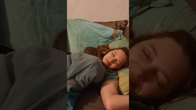 когда лиса не даёт спать смотреть онлайн