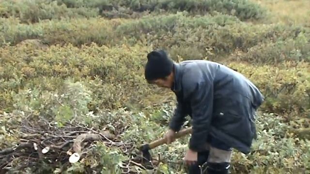 Заготовка дров на Канинском полуострове смотреть онлайн