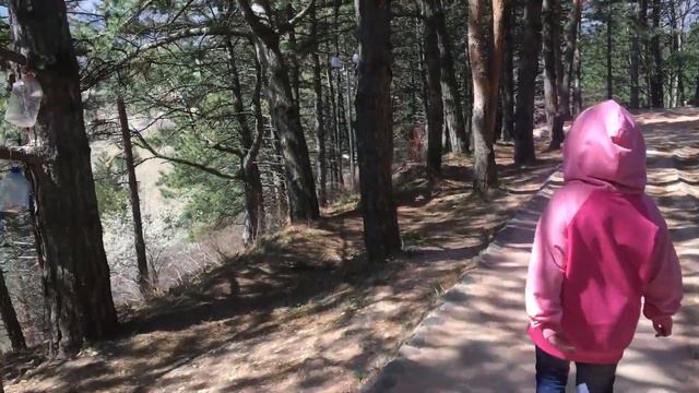 Пахнет хвоей)) терренкуры Кисловодска ! смотреть онлайн