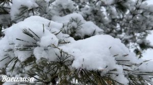 20 февраля народный праздник День Луки. Что нельзя делать. Народные традиции и приметы.