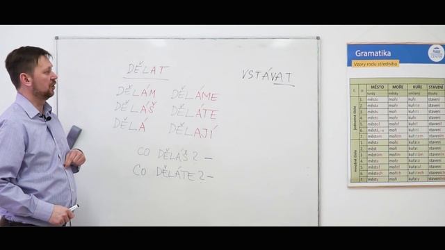 Урок 5. Чешский с чехом: чешские глаголы смотреть онлайн