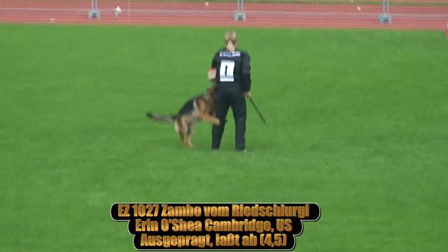2012 SV BSZS Ulm TSB Ruden EZ1 смотреть онлайн
