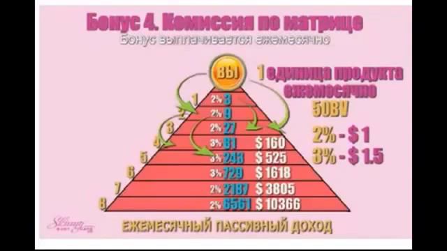 SkinnyBodyCare Вл Четвериков Подробная презентация 30 06 2013 смотреть онлайн