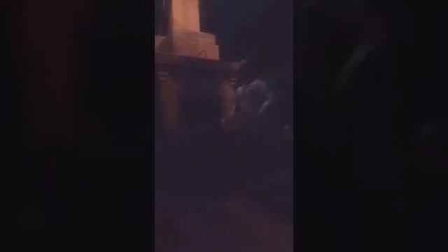 Честный новый трек Бармалей смотреть онлайн