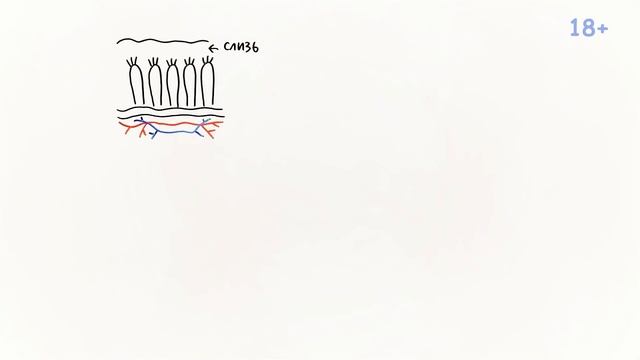 Что лучше ТАБЛЕТКИ или РЕКТАЛЬНЫЕ СВЕЧИ ?