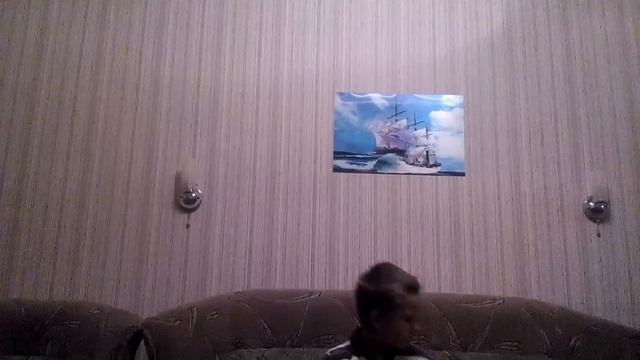 Что делать если нету интернета смотреть онлайн