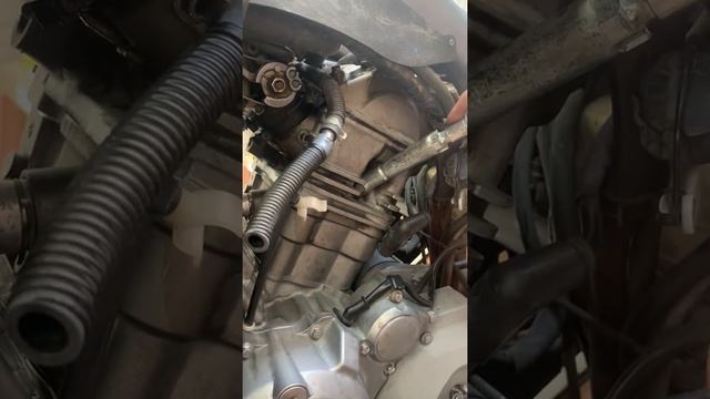 Honda Transalp XL650V Buji Değişimi