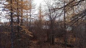 Айхал,Прогулка на Мархе