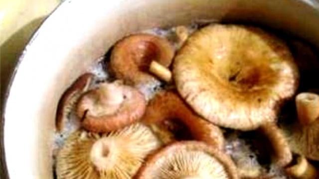 Сборник рецептов