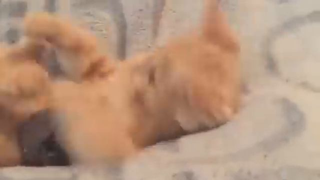 Персей смотреть онлайн