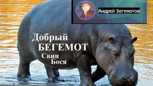 Свин Бося Добрый Бегемот смотреть онлайн