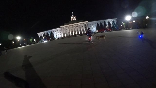 Собаки и Лазер смотреть онлайн