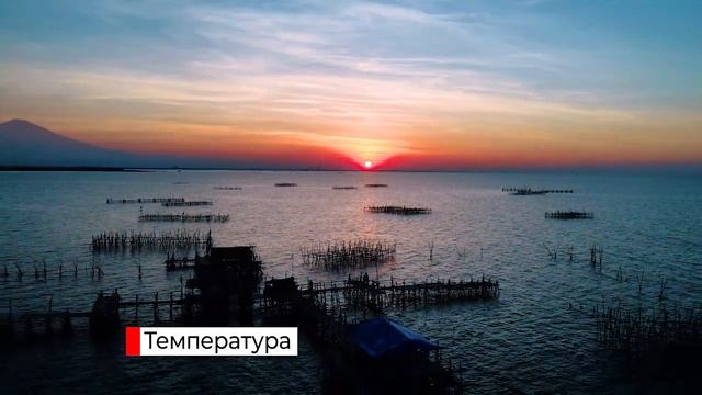 Водная среда обитания 5 класс смотреть онлайн