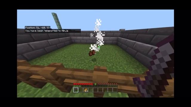 Shadow Ninja ability | with new /execute command смотреть онлайн