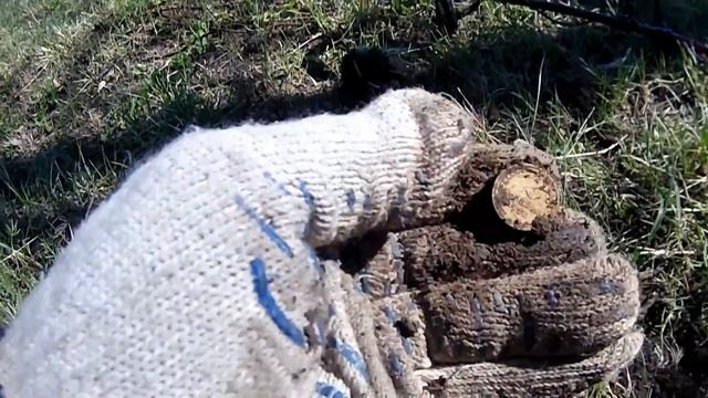 В 60-е годы здесь рядами торчали остатки русских печей!!! А что сейчас? смотреть онлайн