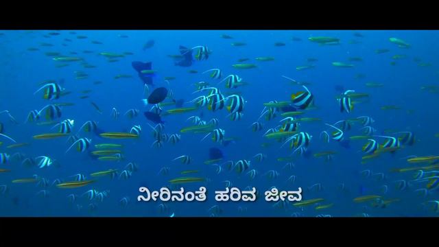 Aleya Kare - video song | soul of Gandhadagudi | Dr.Puneeth Rajkumar смотреть онлайн