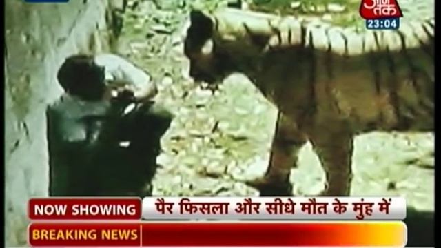 Vardaat: White tiger mauls youth in Delhi zoo (PT-1) смотреть онлайн