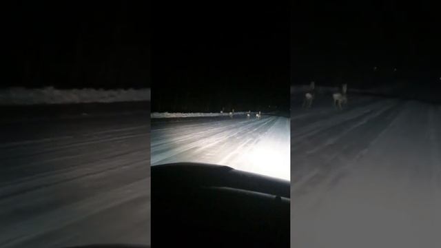 Касуля на трассе Кинжитай смотреть онлайн