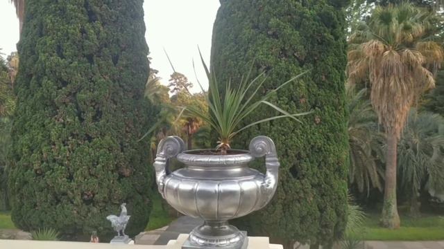 Увлекательная прогулка в Сочи. Растения со всего света собраны в одном месте смотреть онлайн