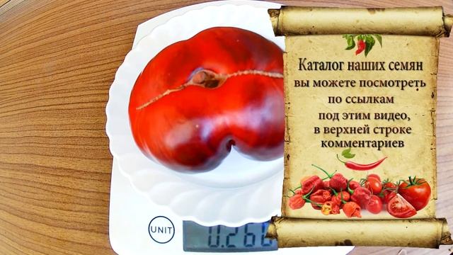 Blue Toм. Томат - Синий Том смотреть онлайн