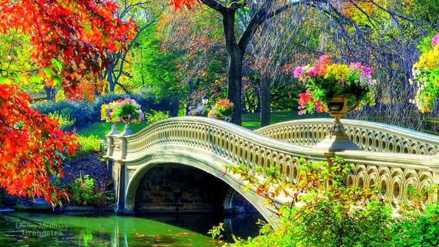 Романтическая баллада!!! Дмитрий Метлицкий 