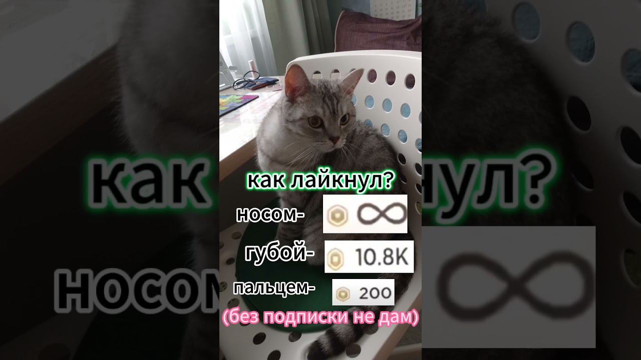 21 мая 2024 г. смотреть онлайн