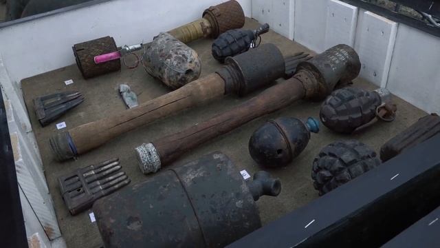 ВОЕННО-ПАТРИОТИЧЕСКИЙ ФЕСТИВАЛЬ ДОСААФ РОССИИ | «Соколиная охота» | ДАРЬЯ ЗЕЛЕНИНА