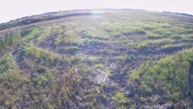 ОХОТА на БЕКАСА и УТКУ со спаниелем и ТОЗ 34.Snipe hunting. смотреть онлайн