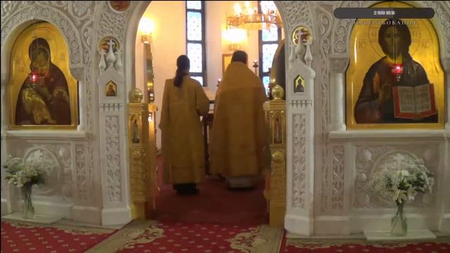 22/11/ВС. БОЖЕСТВЕННАЯ ЛИТУРГИЯ.НЕДЕЛЯ 24-Я ПО ПЯТИДЕСЯТНИЦЕ смотреть онлайн