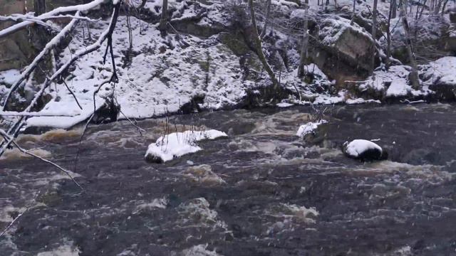 Nõmmeveski Canyon: romantic post-apocalypse /Каньон Ныммевески: романтичный постапокалипсис смотреть онлайн