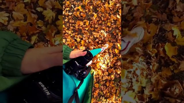 Осенняя фотосессия. Никон 5300. Nikon. смотреть онлайн