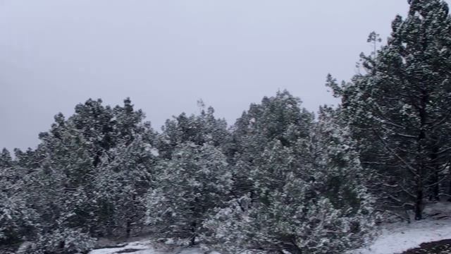 Снежная Узунджа (10.01.2021) смотреть онлайн