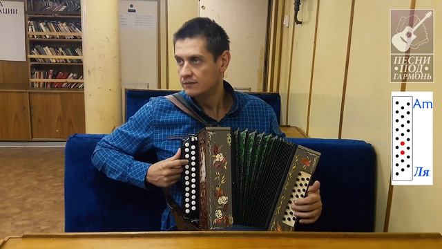 ЗАЧЕМ И КОМУ - ЗВЕРИ | Разбор на гитаре и гармони