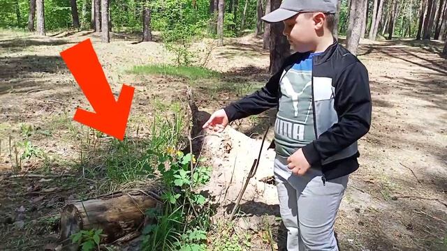 Как ВЫЖИТЬ в лесу, благодаря Компасу? смотреть онлайн