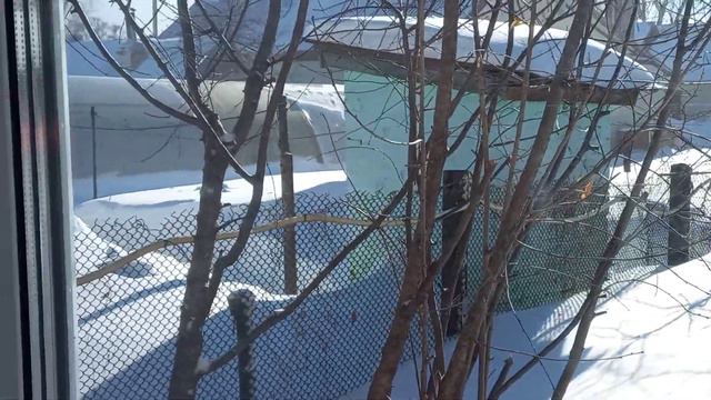 Поздравление с 8 марта от моего мужа смотреть онлайн