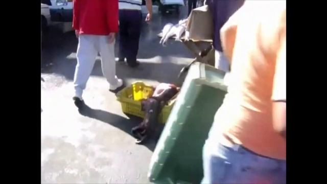 Рынок свежих морепродуктов в Вальпараисо. смотреть онлайн