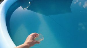Чистим бассейн от водорослей за 5 минут.