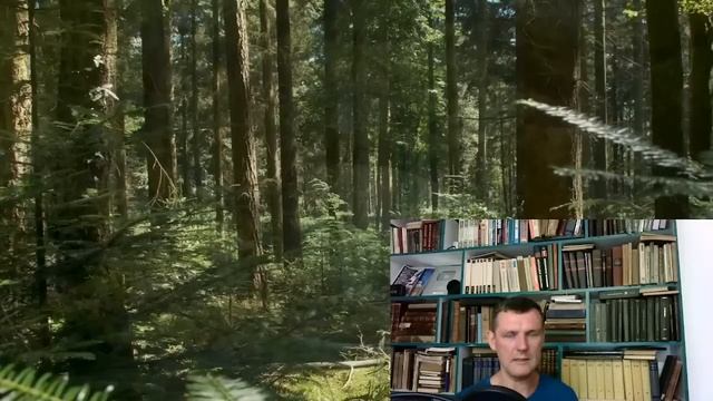 Матрица Гаряева От Тревожности, Беспокойств И Депрессии базовая. №3 смотреть онлайн