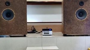 Рупорная акустика на динамиках 4 А 28