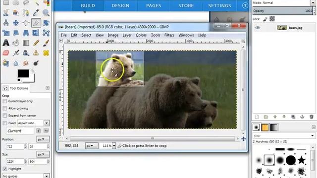 GIMP Crop Tool tutorial смотреть онлайн
