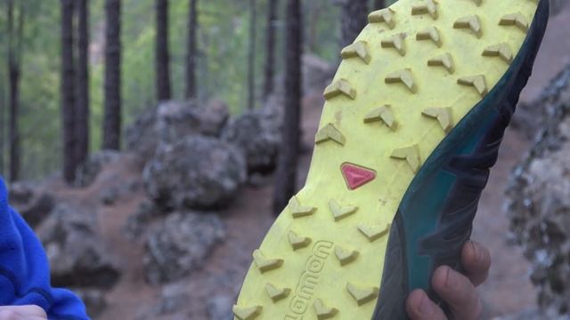 ПРЕДАЛ ТРЕККИНГИ! Salomon Speedcross, 4  мои впечатления.